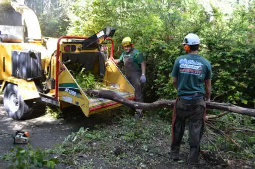 tree services Unalaska